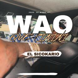 Wao Que Pinini