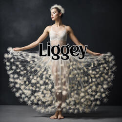 Liggey