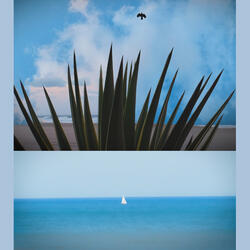 Mdlp // Travel Footage #3