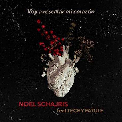 Voy a Rescatar Mi Corazón