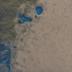 Reflections of a Dying Planet