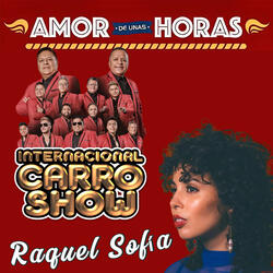 Amor de Unas Horas
