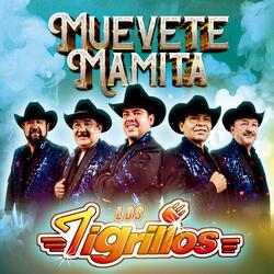 Muevete Mamita