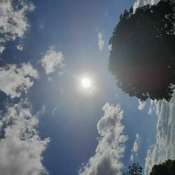 Filhos Do Apocalipse