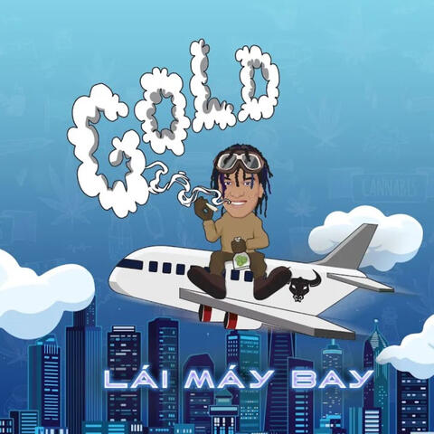 Lái Máy Bay