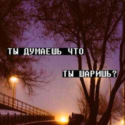 Ты думаешь что ты шаришь?