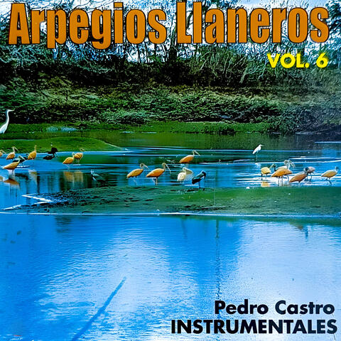 Arpegios Llaneros, Vol. 6
