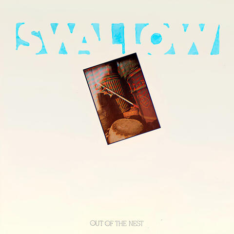 Swallow
