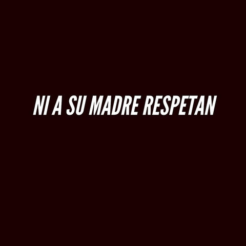 Ni a Su Madre Respetan