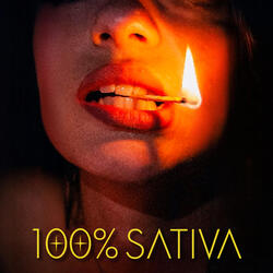 100 % Sativa
