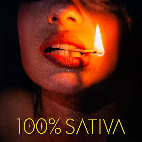 100 % Sativa