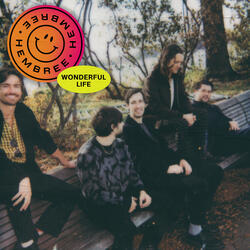 Wonderful Life