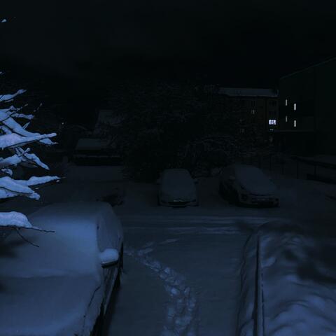 Winter