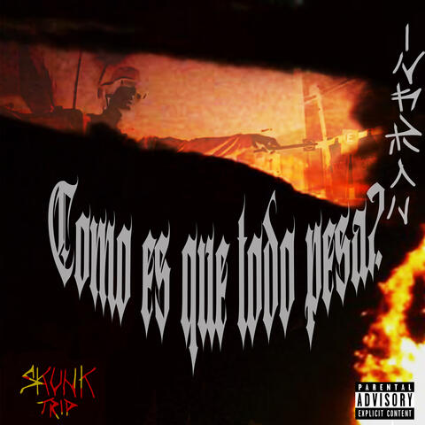 ¿Cómo Es Que Todos Pesa?