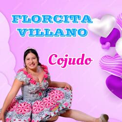 Cojudo