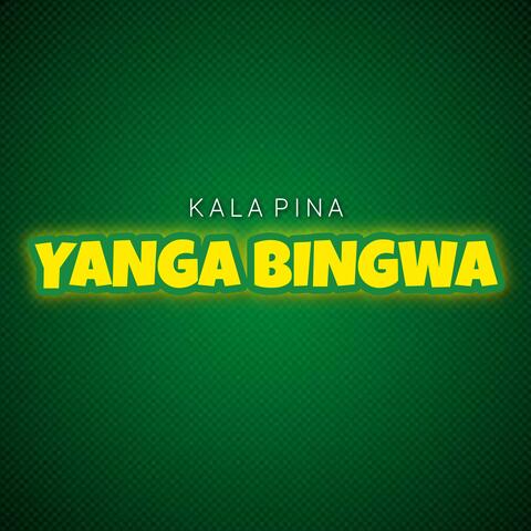 Yanga Bingwa