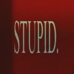 Stupid.
