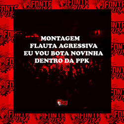Montagem - Flauta Agressiva - Eu Vou Bota Novinha Dentro da Ppk