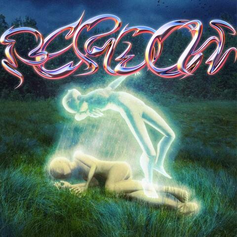 Perdón
