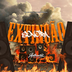 Extinção Sonora