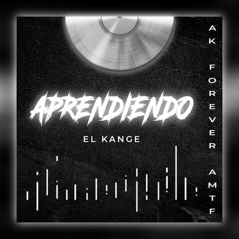 Aprendiendo