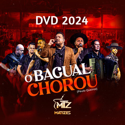 O Bagual Chorou