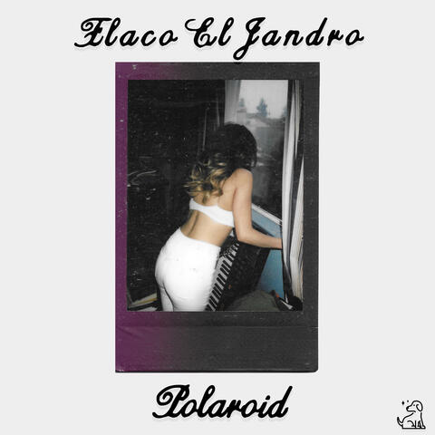 Polaroid