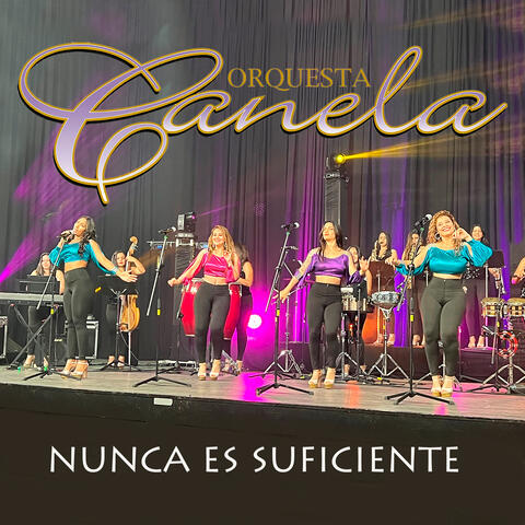 Nunca Es Suficiente