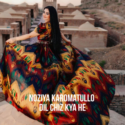 Dil chiz kya he