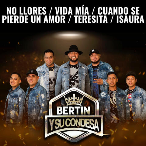 No Llores / Vida Mía / Cuando Se Pierde Un Amor / Teresita / Isaura