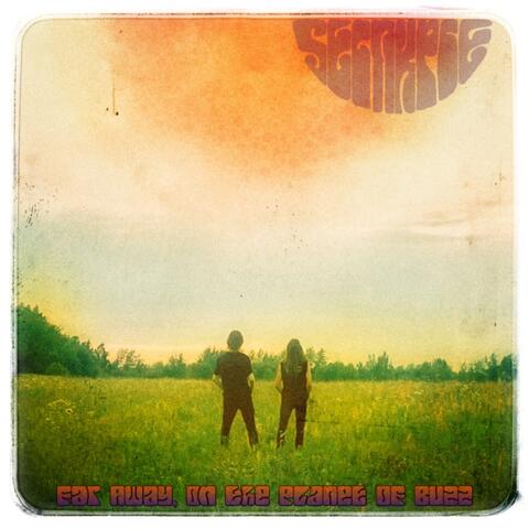 Far Away, on the Planet of Buzz