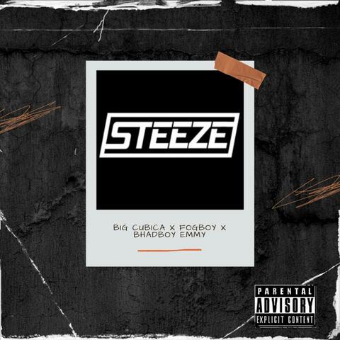 Steeze