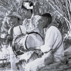 La Petronita Olivares