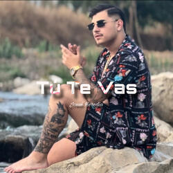 Tú Te Vas