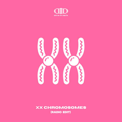 XX Chromosomes