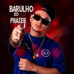 Barulho do Prazer