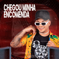 Chegou Minha Encomenda
