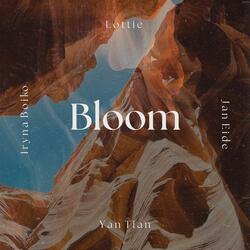 Bloom