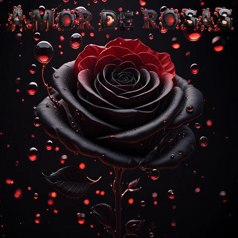Amor de Rosas