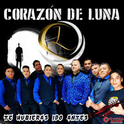 Como Pudiste