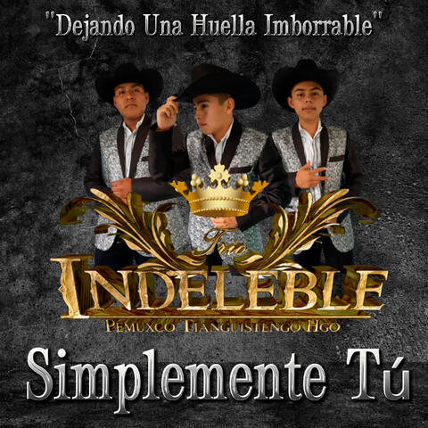 Simplemente Tú