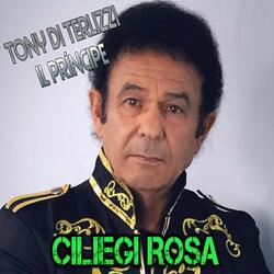 Ciliegi Rosa
