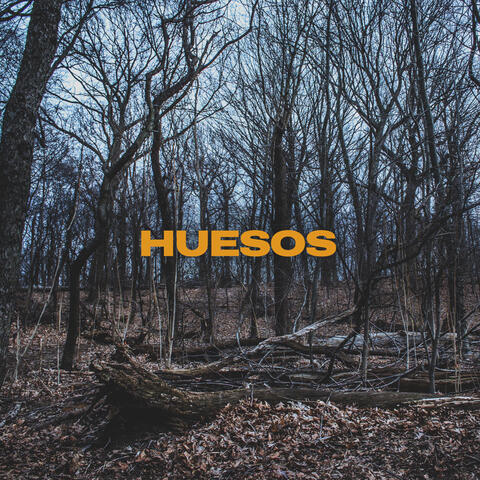 Huesos