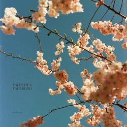 the angels are staring right at you