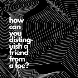 How Can You Distinguish a Friend from a Foe?