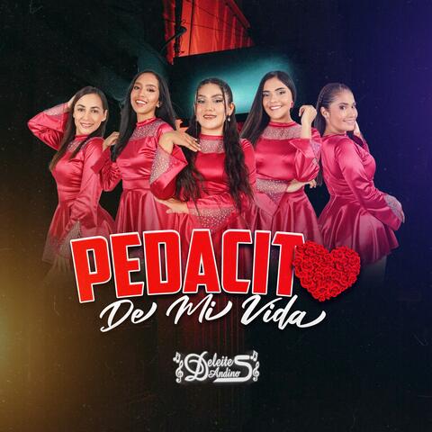 Pedacito de Mi Vida
