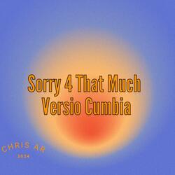 Sorry 4 That Much