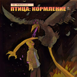 Птица: кормление