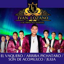 El Vaquero / Arriba Pichataro / Son De Acomulco / Julia
