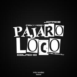 Pajaro Loco